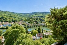 Ausblick Wohnen �ber dem Neckar - Familienidylle mit traumhafter Sonnenterrasse und Panoramablick