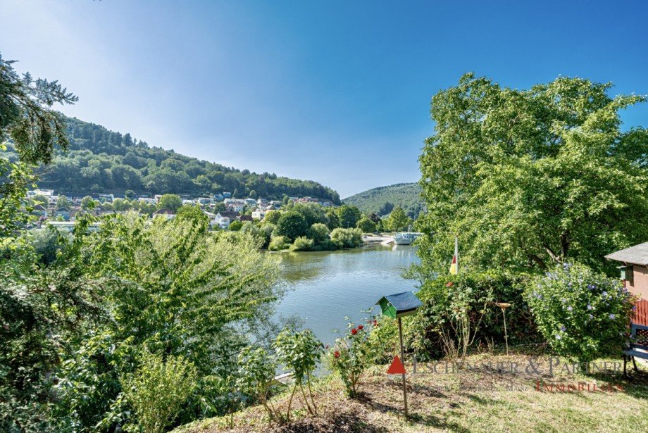 Garten Einfamilienhaus Hirschhorn