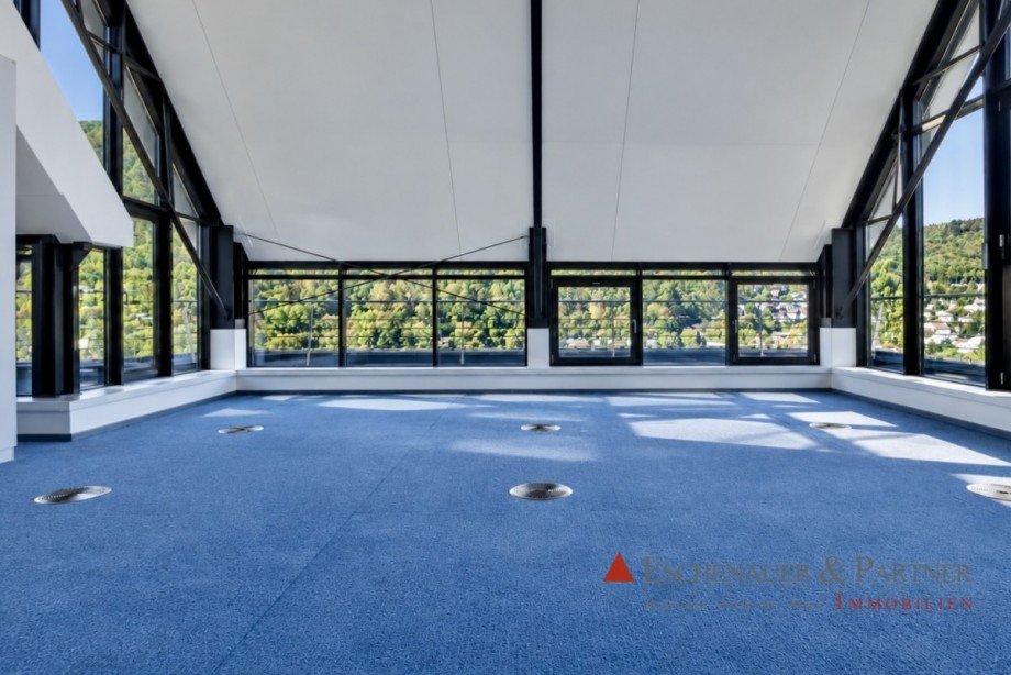 B�roraum DG B�rohaus Neckargem�nd