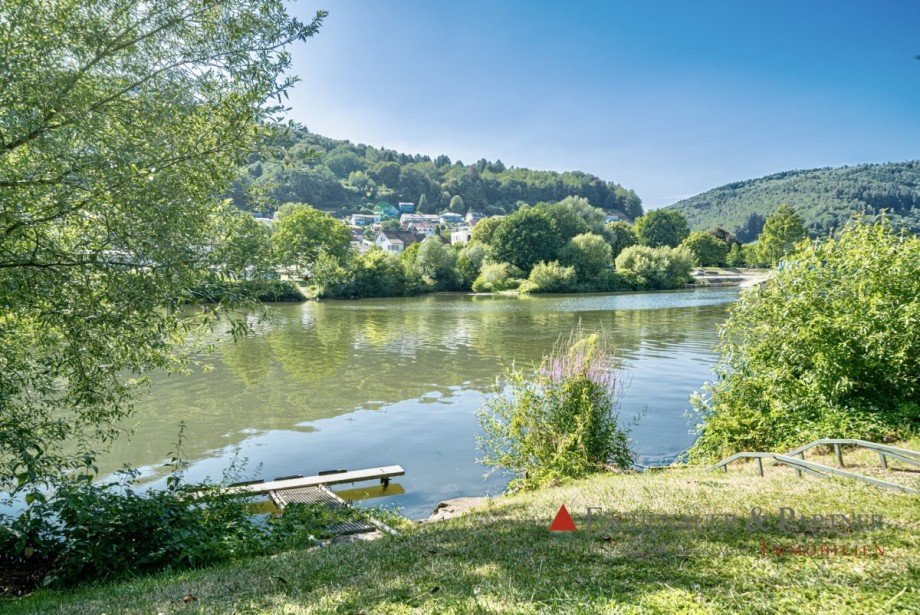 Garten am Wasser Einfamilienhaus Hirschhorn