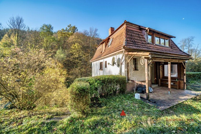 Ansicht Eberbach Einfamilienhaus DAS DORNR�SCHEN-PROJEKT - Sanierungsbed�rftiges Einfamilienhaus auf gro�em idyllischen Grundst�ck.