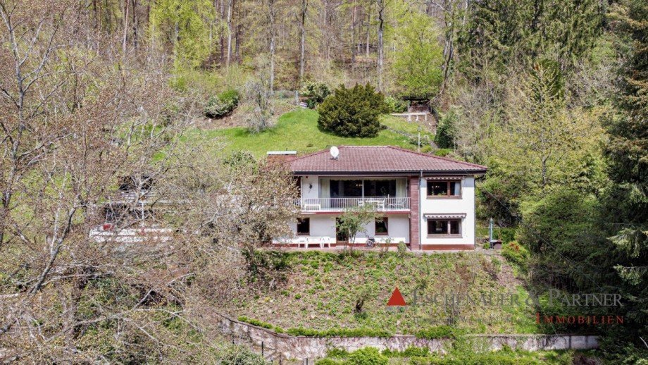 Ansicht Einfamilienhaus Sch�nau