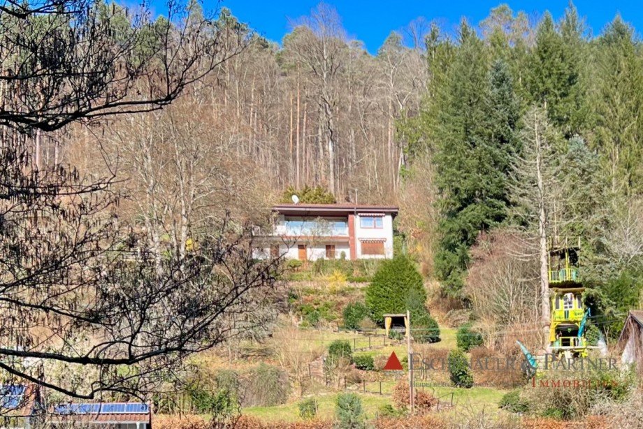 Hanglage Einfamilienhaus Sch�nau