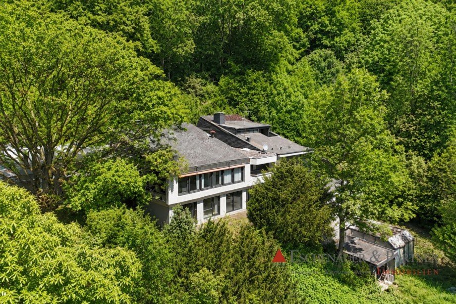 Luftaufnahme Villa Eberbach