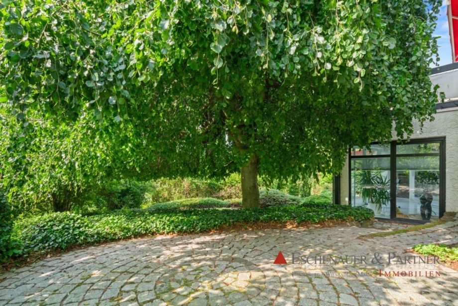 Garten Einfamilienhaus Sch�nbrunn