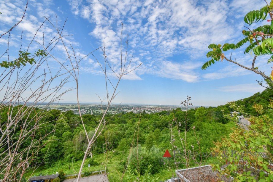 Ausblick Etagenwohnung Heidelberg