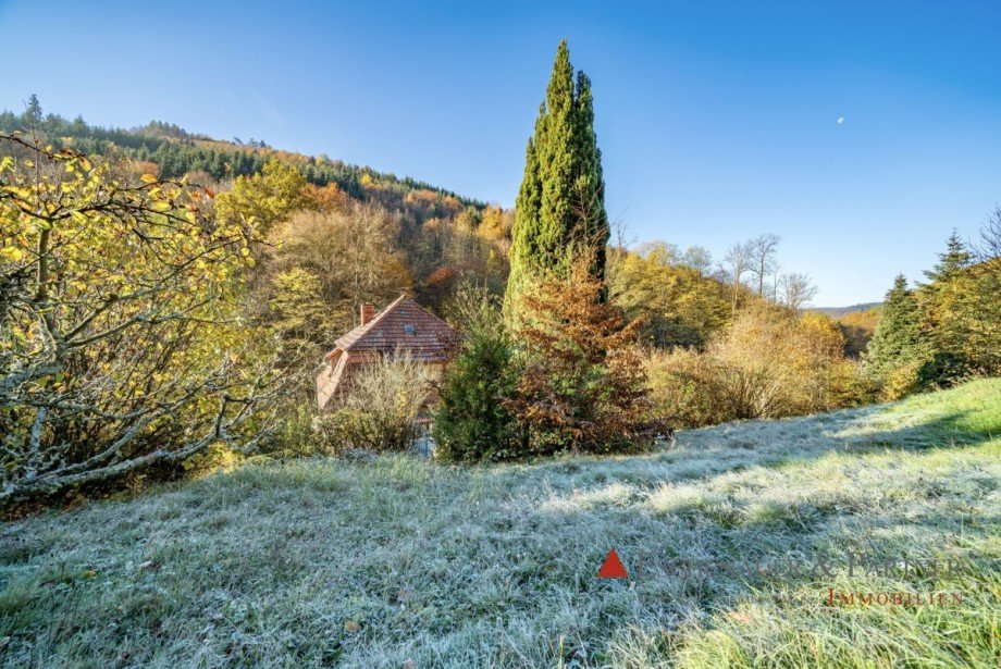 Garten Einfamilienhaus Eberbach