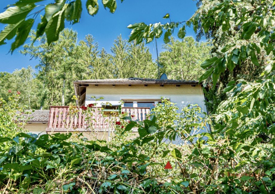 Ansicht Einfamilienhaus Hirschhorn