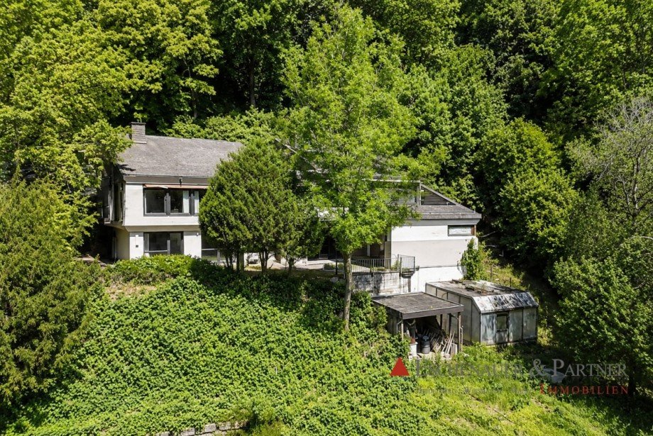 Luftaufnahme Villa Eberbach